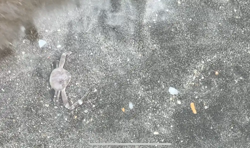 꾸따비치의-검은모래