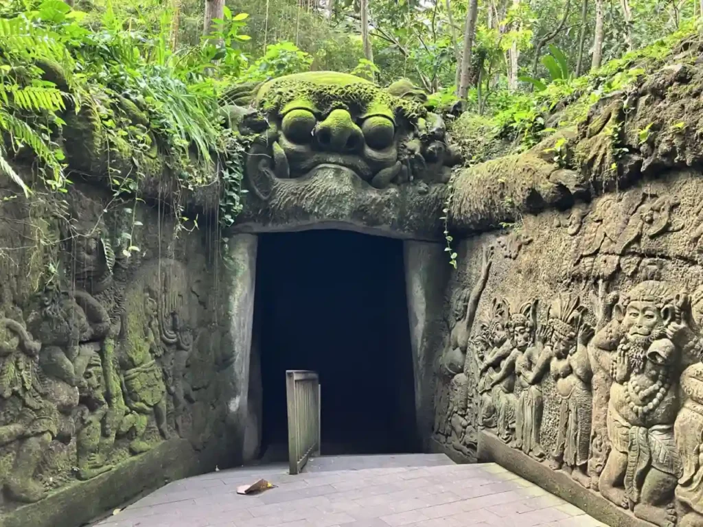 몽키포레스트-입구