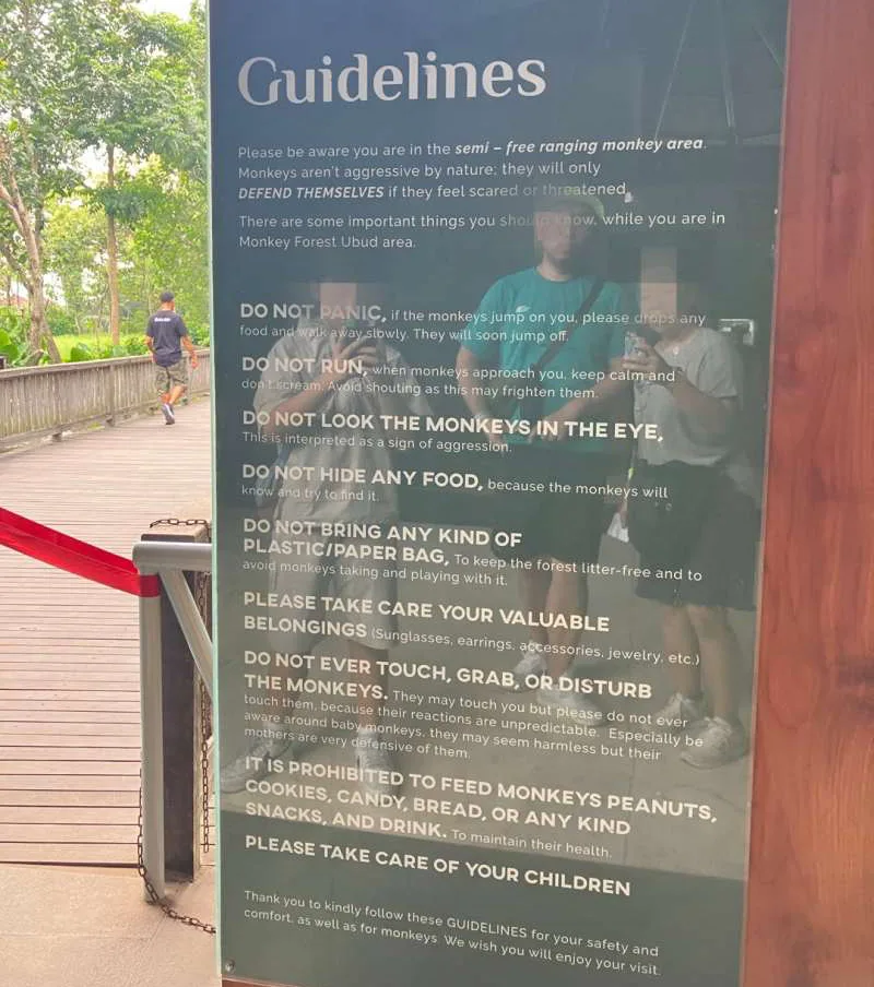 몽키포레스트-주의사항