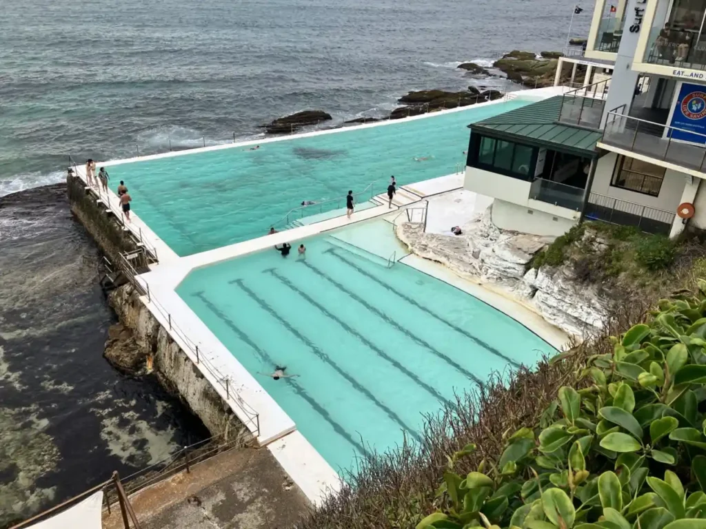 본다이비치-아이스버그클럽