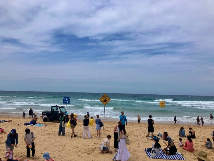 맨리비치의-모습