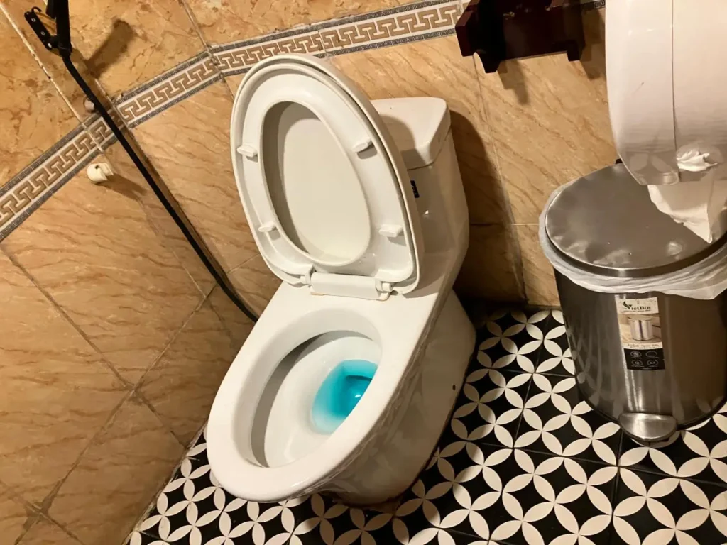 사파행-기차-화장실