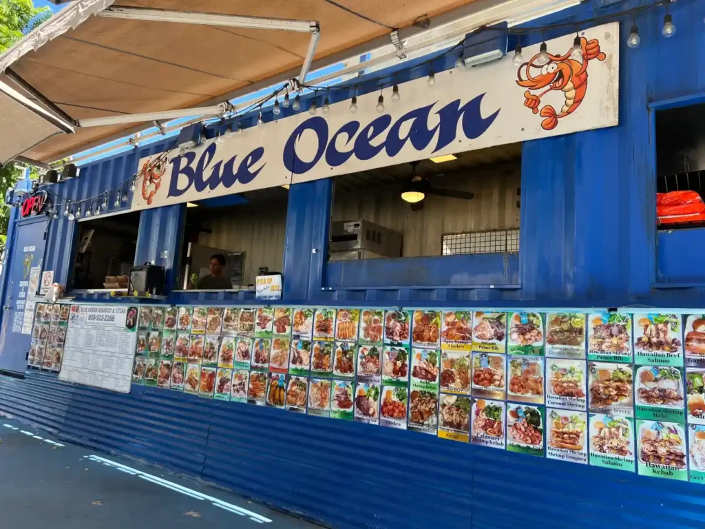 하와이-블루오션의-외경